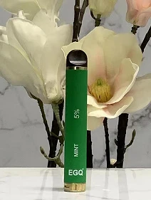 Wholesaler I Disposable Vape With 800 Puffs